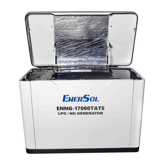 Купити Генератор газовий EnerSol ENNG-17000TATS. Офіційний магазин Toolmaster Україна. Фірмовий інструмент та обладнання, офіційна гарантія