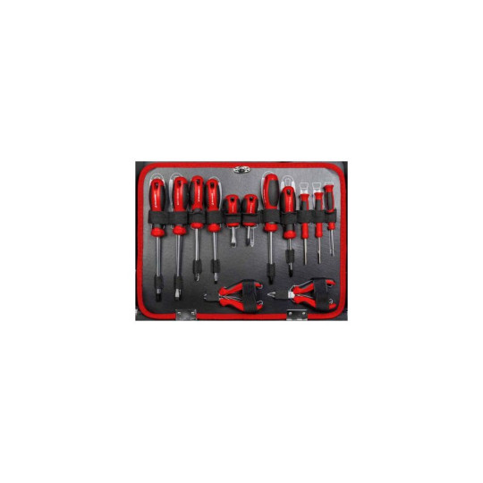 Купити Ящик инструментов Holzmann WZK119ECO. Официальный магазин Toolmaster Украина. Фирменный инструмент и оборудование, официальная гарантия