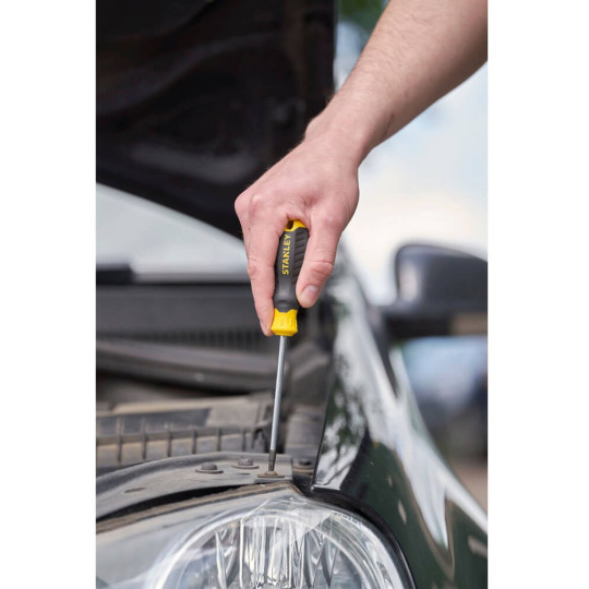 Купити Викрутка Cushion Grip довжиною 100 мм під шліц TORX TT20 STANLEY STHT16179-0. Офіційний магазин Toolmaster Україна. Фірмовий інструмент та обладнання, офіційна гарантія